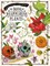 The Book of Disappearing Plants