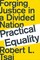 Practical Equality: Forging Justice in a Divided Nation