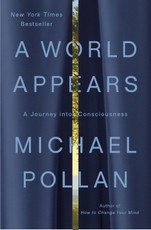 A World Appears