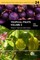 Tropical Fruits, Volume II