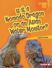 Is It a Komodo Dragon or an Asian Water Monitor?