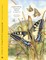 The Wonderful World of Insects
