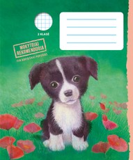 Holly Webb sąsiuvinis DŽESĖ, nuo 2 kl., 12 l., langeliais (2022)