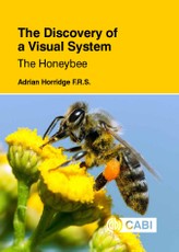 The Discovery of a Visual System - The Honeybee