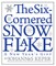 The Six-Cornered Snowflake