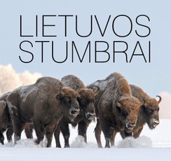 Lietuvos stumbrai