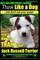 Jack Russell Terrier Training, Think Like a Dog, But Don't Eat your Poop!