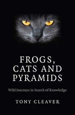 Frogs, Cats and Pyramids
