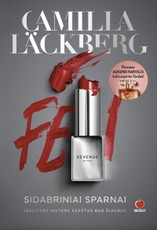 SIDABRINIAI SPARNAI. Tobulai subalansuotas romanas stipriai moteriai