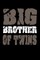 Big Brother Of Twins
