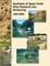 Synthesis of Upper Verde River Research and Monitoring 1993-2008