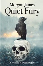Quiet Fury