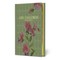 Mrs. Dalloway