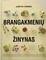 Brangakmenių žinynas