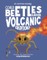 Could Beetles Survive a Volcanic Eruption?