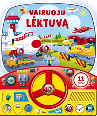 Vairuoju lėktuvą
