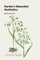 Herder's Naturalist Aesthetics