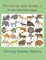 Terrestrial Land Animals 7