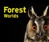 Forest Worlds