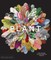 Plant: Exploring the Botanical World