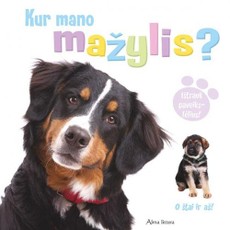 Kur mano mažylis?
