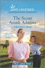 The Secret Amish Admirer