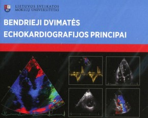 Bendrieji dvimatės echokardiografijos principai