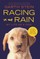 Racing in the Rain