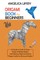 Origami Book for Beginners