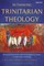 Rethinking Trinitarian Theology