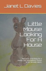 Little Mouse Looking For A House