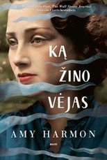 KĄ ŽINO VĖJAS. Magiškoje kelionėje laiku susipina jaudinantis meilės romanas, šeimos paslaptys ir dramatiška Airijos istorija