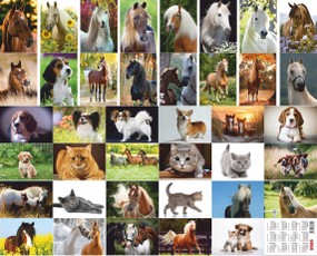 Mažas kalendoriukas 2026