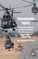 Privatising Peace