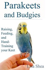 Parakeets And Budgies - Raising, Feeding, And Hand-Training Your Keet