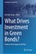 What Drives Investment in Green Bonds?