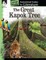 The Great Kapok Tree