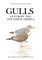 Gulls of Europe, Asia and North America