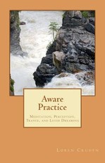 Aware Practice