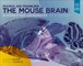 Paxinos, G: Paxinos and Franklin's the Mouse Brain