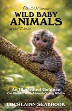 The 50 Cutest Wild Baby Animals in the World