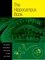 The Hippocampus Book