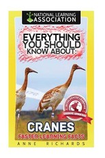 Everything You Should Know About