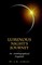 Luminous Night's Journey