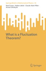 What is a Fluctuation Theorem?