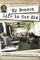 My Secret Life in Hut Six