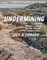 Lippard, L: UNDERMINING