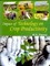 Impact of Technology on Crop Productivity