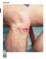 trans 26