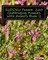 SUDOKU Puzzle 200 Challenging Puzzles with Anwers Book 11
